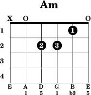 Am Guitar