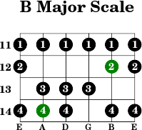 B major scale