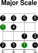 4thstring major intervals scale
