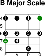 B major scale