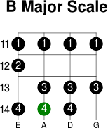 B major scale