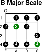 B major scale