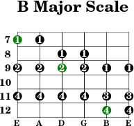 B major scale