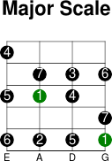 3thstring major intervals scale